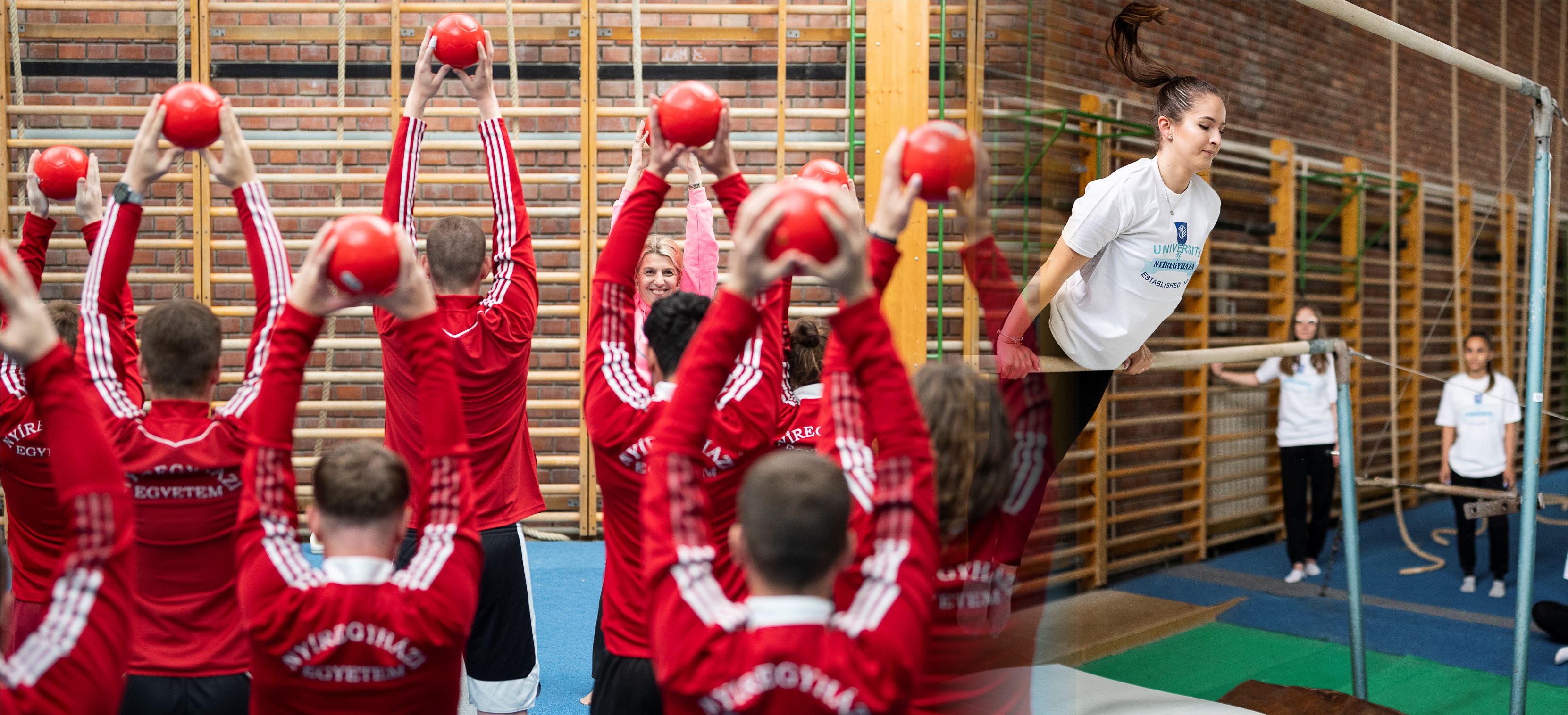 Testnevelés és Sporttudományi Intézet